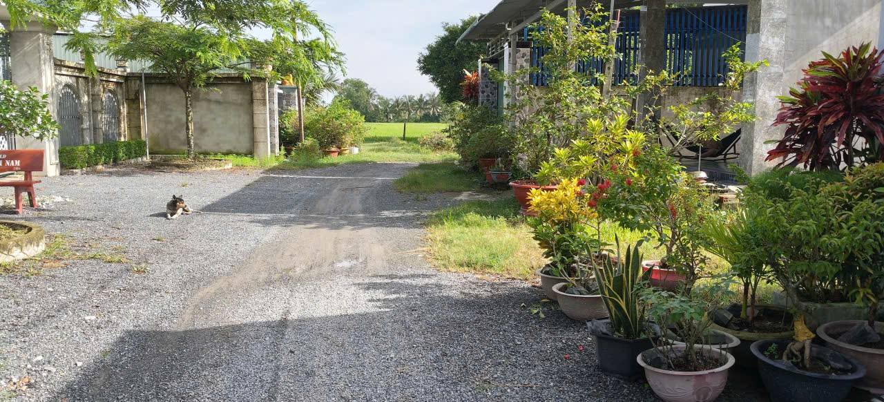 Nhà bán tại Phước Đông, Gò Dầu, 115m² giá 1.25 tỷ - Tiện nghi đầy đủ, cách KCN chỉ 2km!