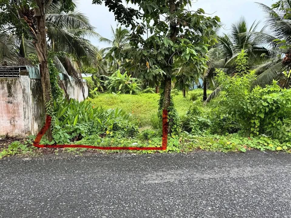 Đất nền Ấp Bình Phong, Mỹ Tho 175m² giá 1.25 tỷ - Đầu tư sinh lợi hấp dẫn!