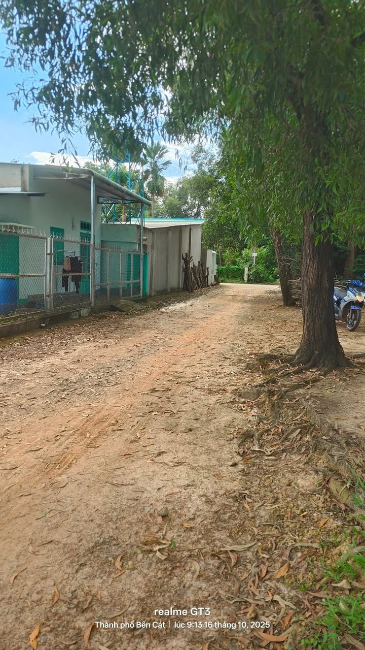 Đất nền Phường Bến Cát, Bình Dương 150m² giá 1.1 tỷ - Sổ hồng chính chủ, vị trí đẹp!