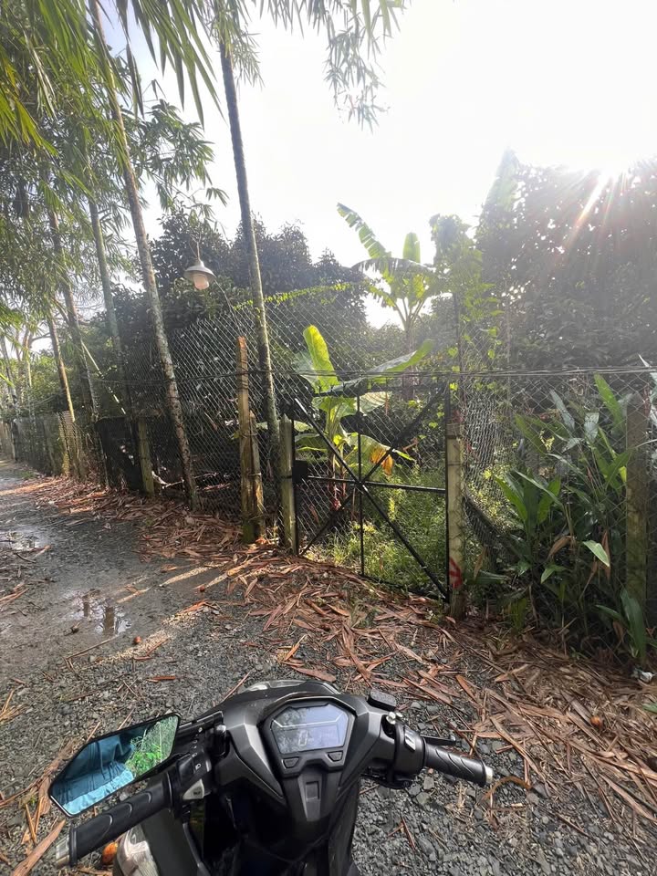 Đất thổ cư An Tây 255m² giá 1.48 tỷ - Lô duy nhất gần chợ Thùng Thơ!