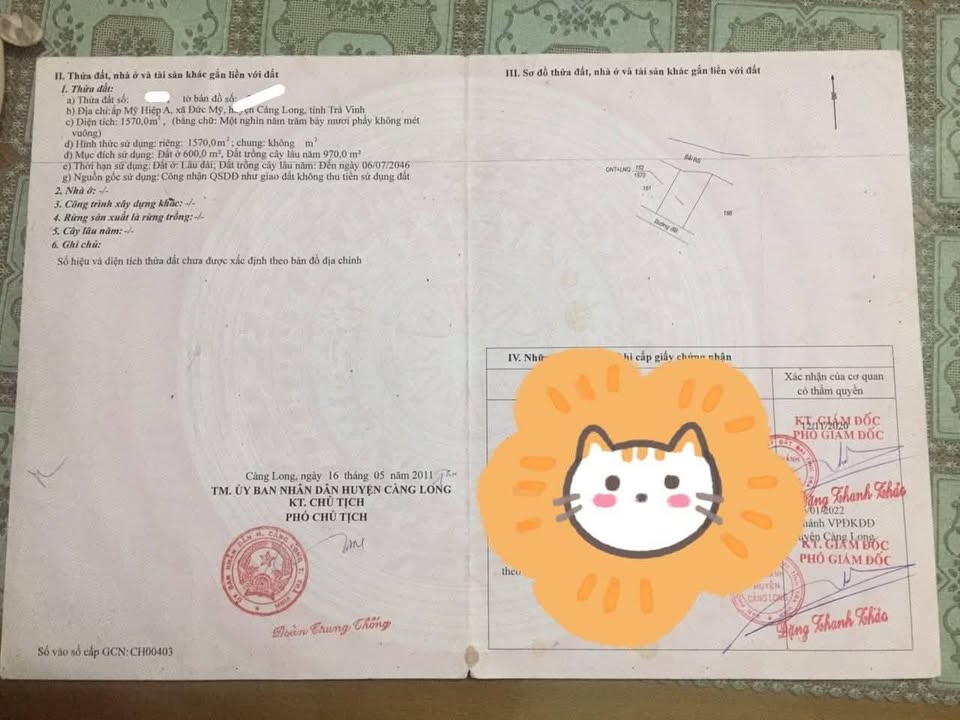 Đất nền 1570m² xã Đức Mỹ, Càng Long - Giá chỉ 1.3 tỷ, thương lượng tốt!