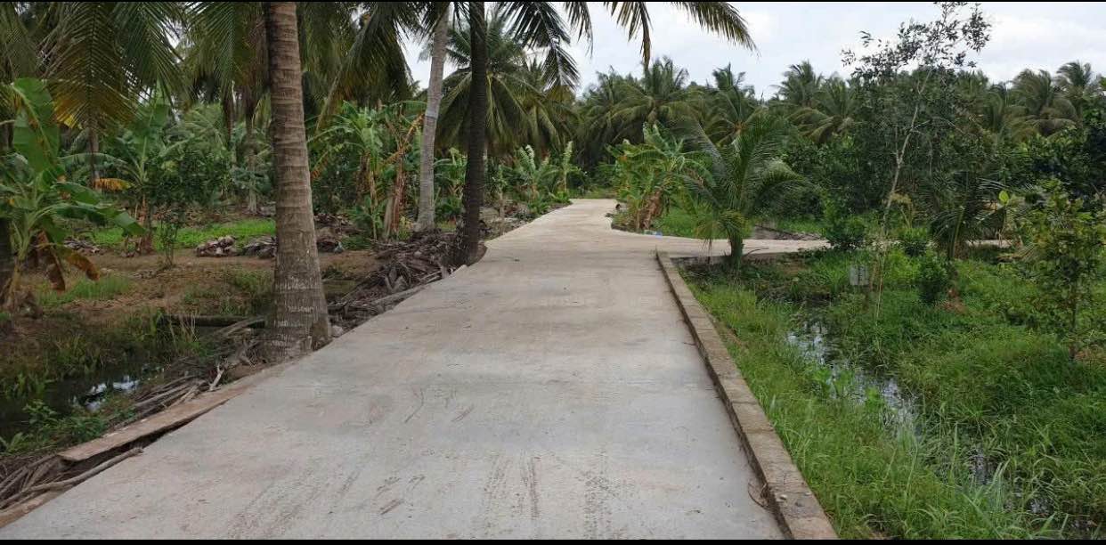 Đất nền Tường Đa, Châu Thành, Bến Tre 4000m² giá 3.2 tỷ - Đường ô tô vào tận nơi!