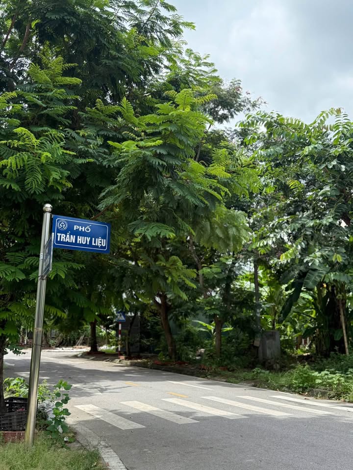 Đất mặt phố Trần Huy Liệu, Tứ Minh 66m² giá 3.2 tỷ - Đầu tư sinh lời ngay!