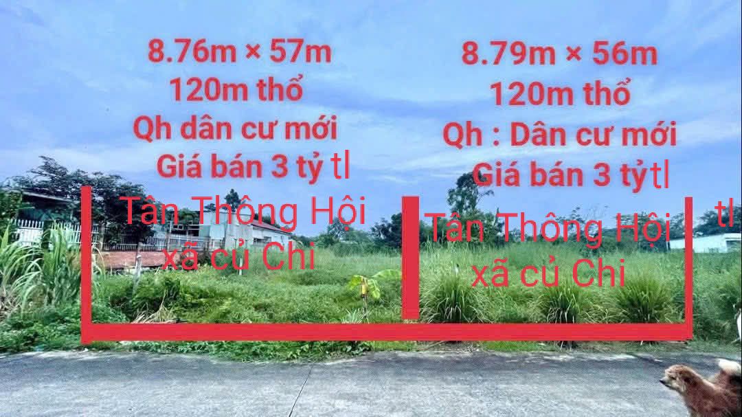 Đất thổ cư Tân Thông Hội 500m² giá 3 tỷ - Đầu tư lý tưởng cho nhà vườn!