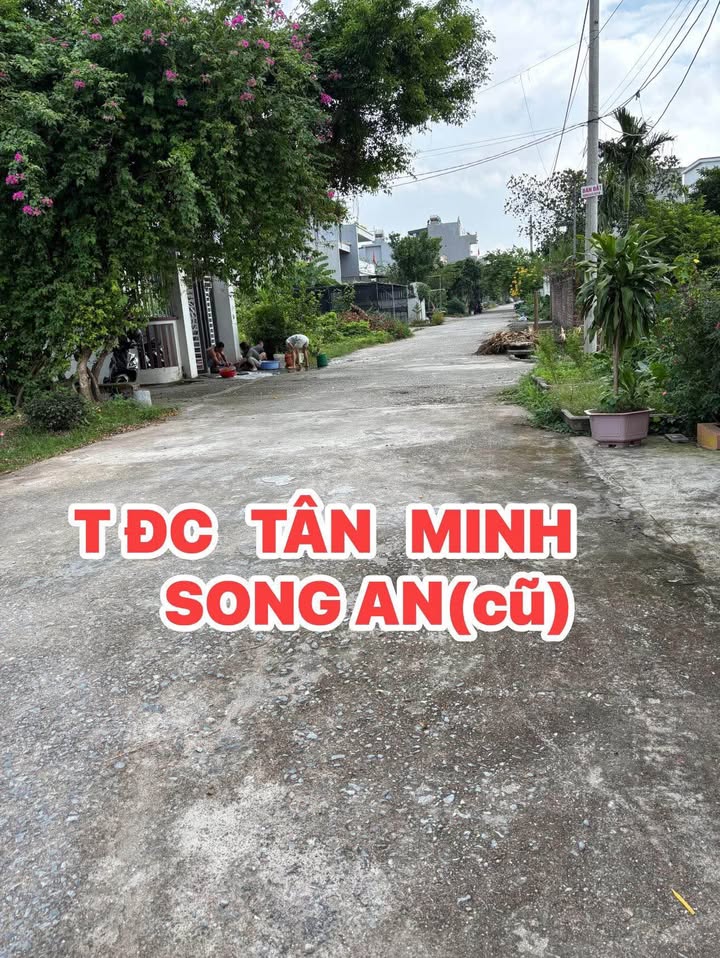Đất TĐC Tân Minh, Phường Vũ Phúc, TP. Thái Bình 90m² - Tiềm năng đầu tư lớn!