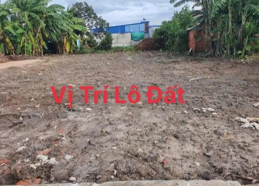 Đất thổ cư Tân Viên, An Lão, Hải Phòng 109m² giá chỉ 600 triệu - Cơ hội đầu tư tuyệt vời!