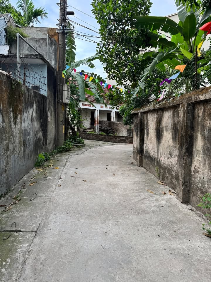 Đất nền 52m² Cụm 1 Tân Lập, Đan Phượng - Giá đầu tư chỉ 4 tỷ!