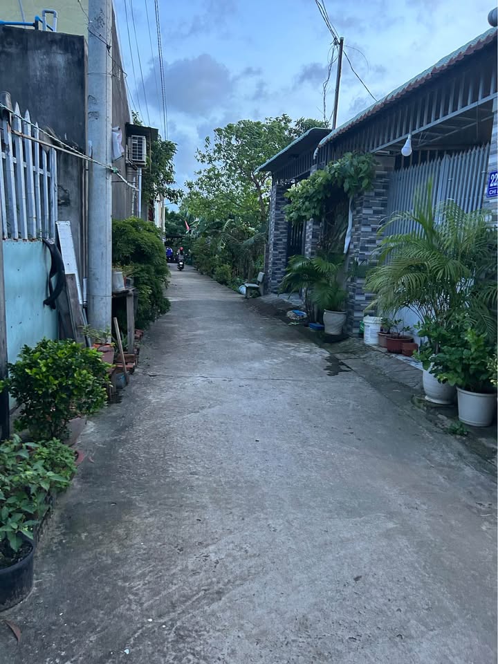 Đất hẻm 22 đường Chi Lăng Vũng Tàu 64m² giá 630 triệu - Cơ hội đầu tư hấp dẫn!