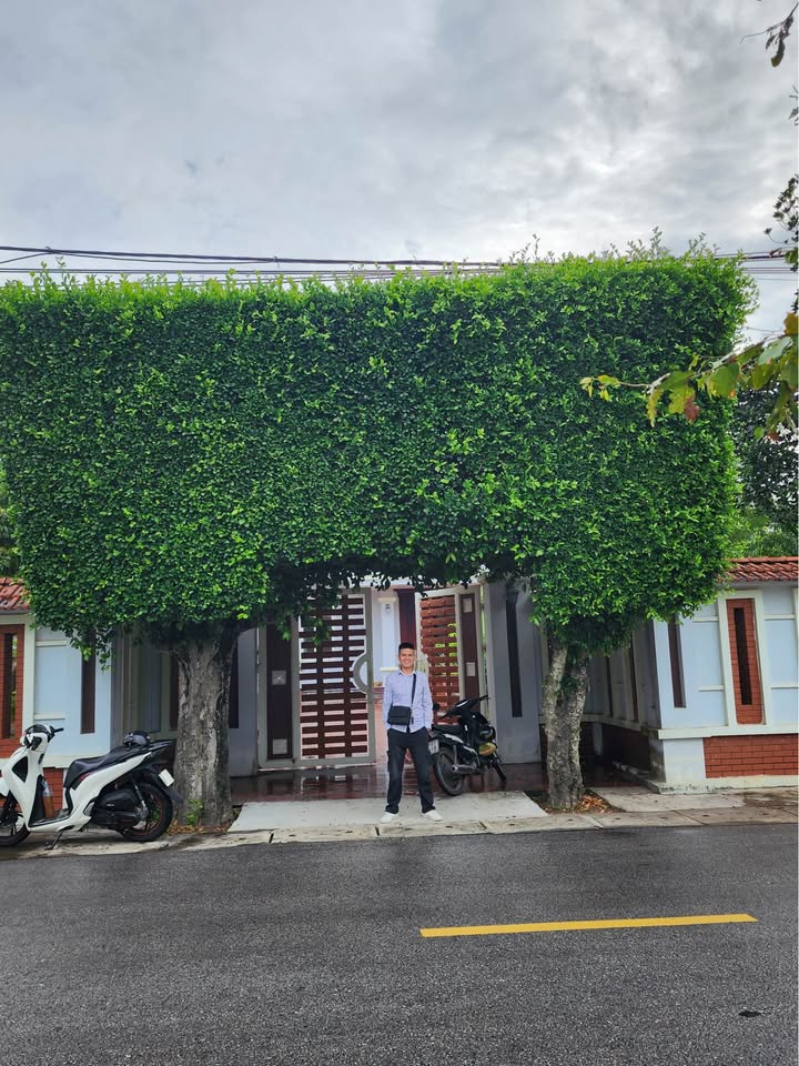 Đất nền Vinh Lộc, Nghệ An 50m² giá từ 1.75 tỷ - Sổ đỏ chính chủ, pháp lý rõ ràng!