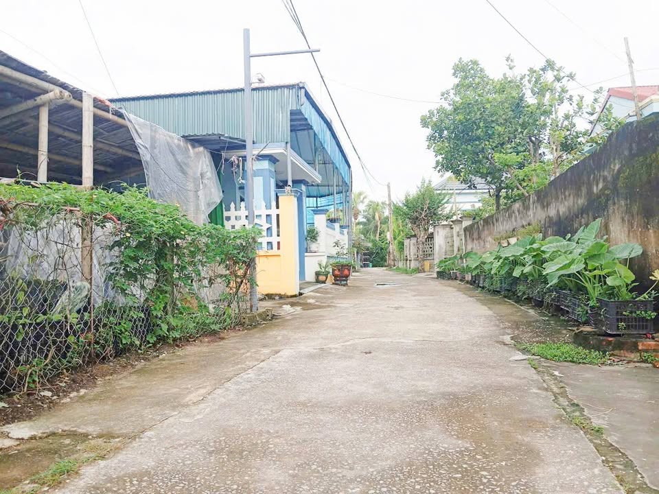 Đất nền thổ cư thôn Quang Minh, xã Quảng Ngọc 115m² - Đường ô tô ra vào thoải mái!