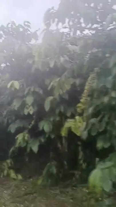 Đất nền xã Lộc Ngãi, Bảo Lâm 6400m² giá 736 triệu - Cơ hội đầu tư hấp dẫn!