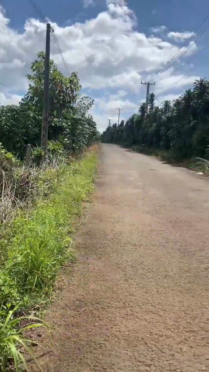 Đất nền Lộc Ngãi Bảo Lâm 30.200m² giá chỉ 2.1 tỷ - Cơ hội đầu tư tuyệt vời!