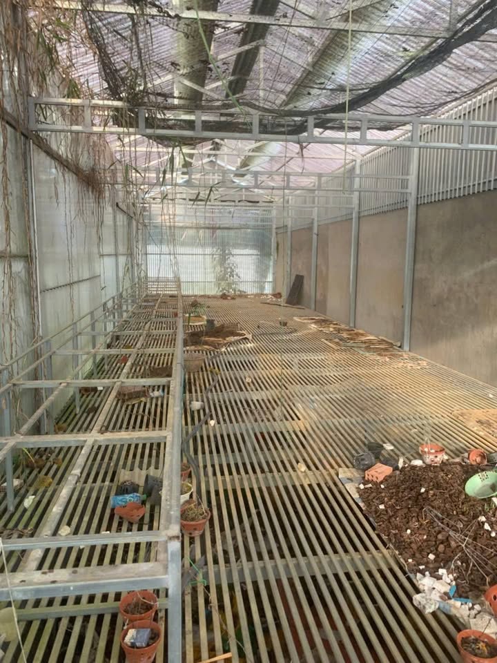 Đất thổ cư Bảo Lâm 120m² giá 750 triệu - Cơ hội đầu tư tuyệt vời!