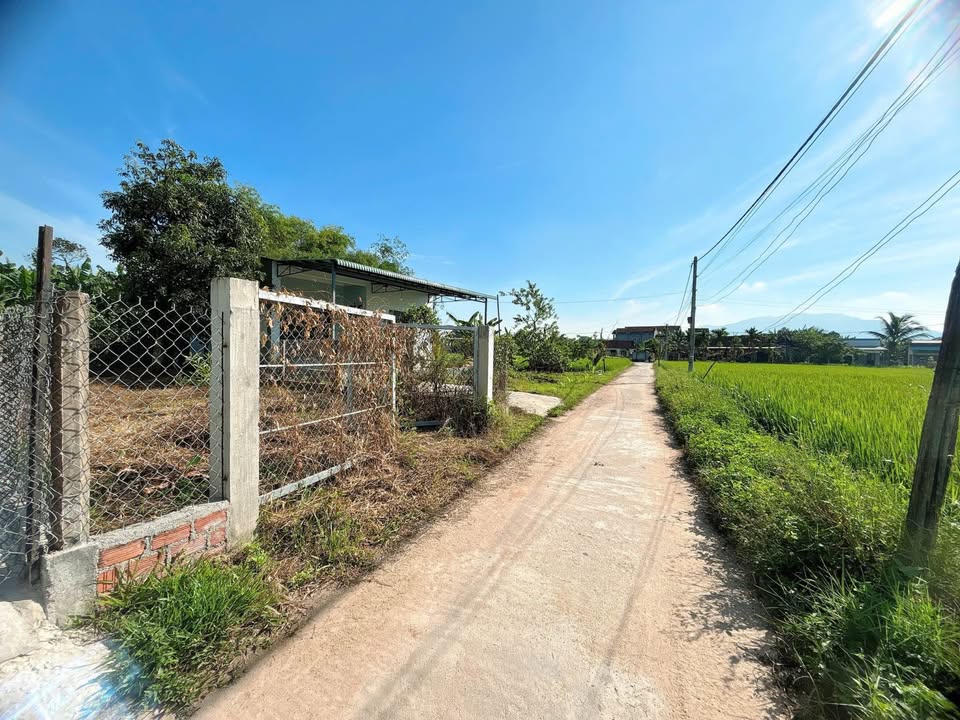 Đất nền Canh Vinh 180m² giá 500 triệu - Pháp lý rõ ràng, đầu tư tiềm năng!