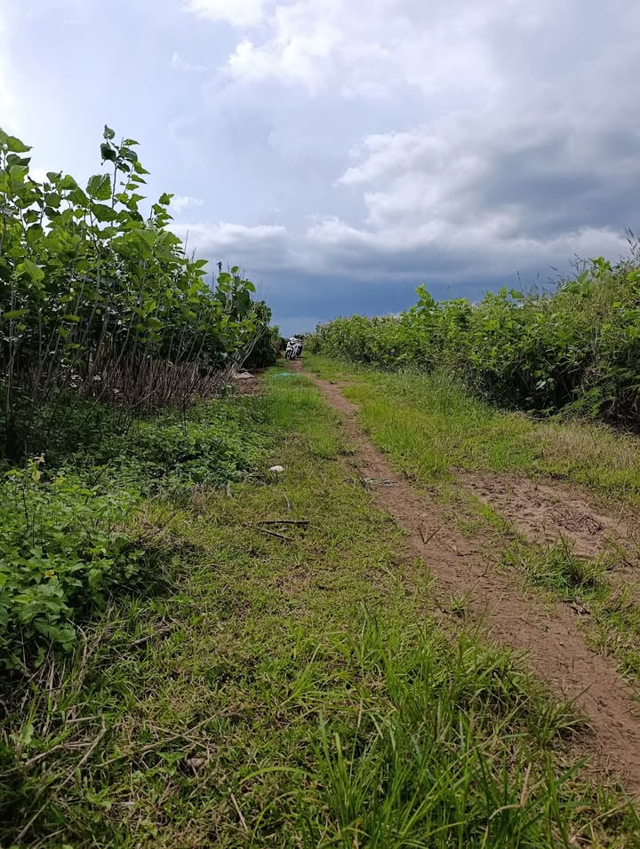 Đất nền Lâm Hà 2150m² giá 1 tỷ - Pháp lý rõ ràng, tiềm năng phát triển!