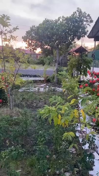 Đất nền Hòa Nghĩa, Dương Kinh 500m² giá 4.5 tỷ - Chính chủ cần bán gấp!