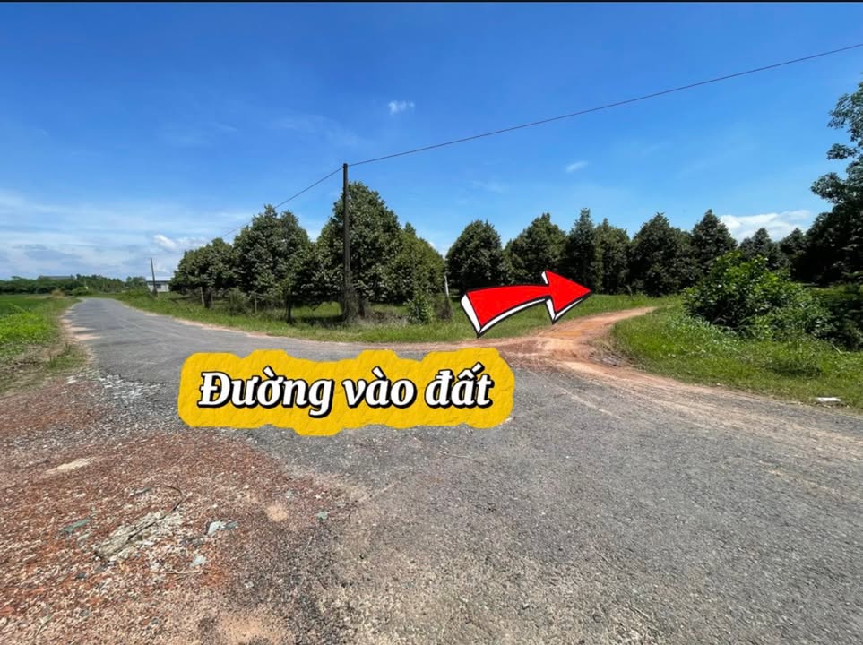 Đất nền 40.000m² tại Phước Thạnh, Gò Dầu, Tây Ninh - Giá chỉ 900 triệu!