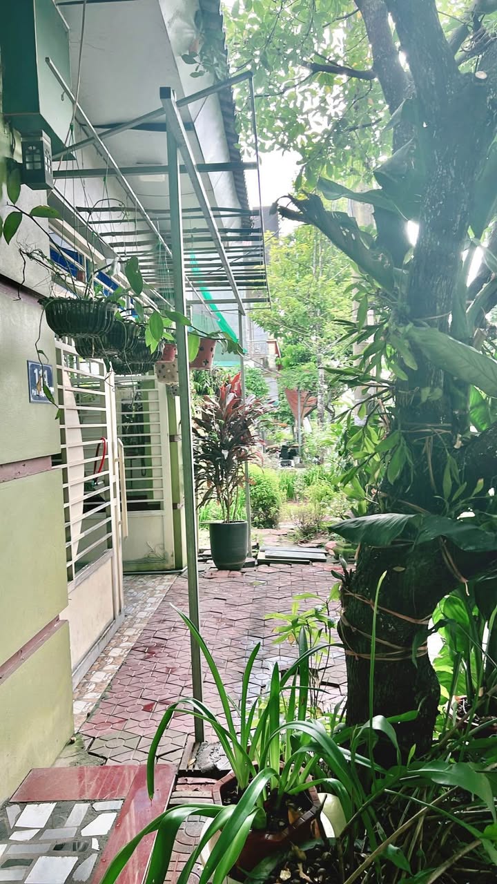 Nhà C4 Mái Thái kiên cố tại Vương Thừa Vũ, Lào Cai - 200m² chỉ 4.26 tỷ!