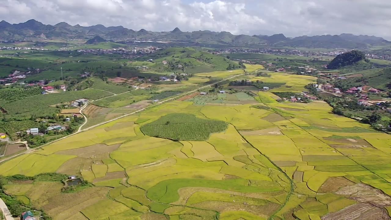 Đất thổ cư 1000m² tại Mộc Châu - Giá thỏa thuận, mặt tiền 40m