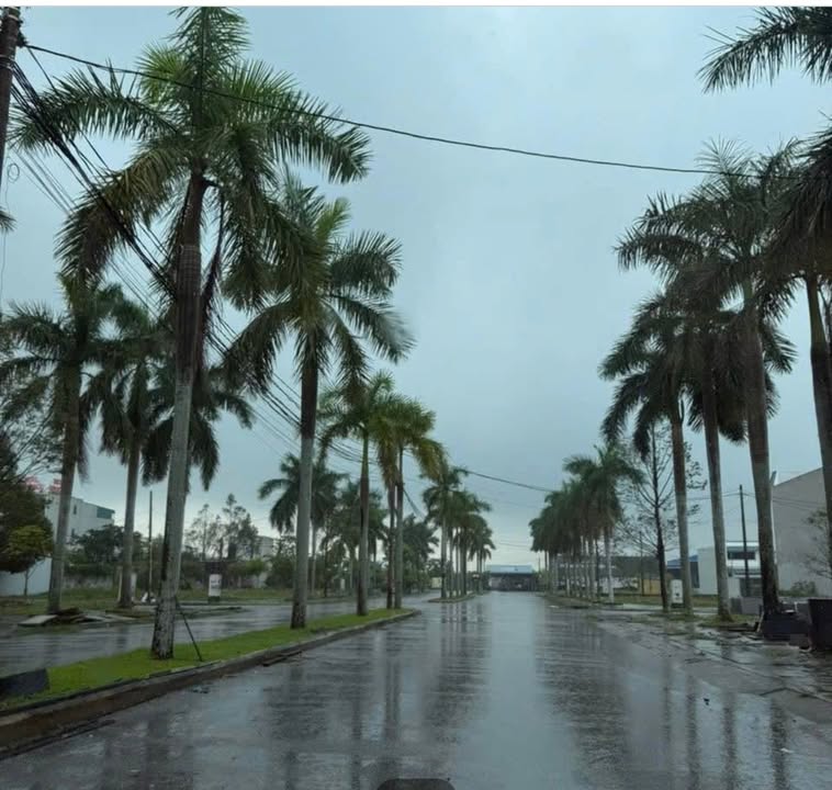 Đất nền 200m² đường Hàng Cau, thị trấn Tân Phong - Vị trí đắc địa cho nhà đầu tư!