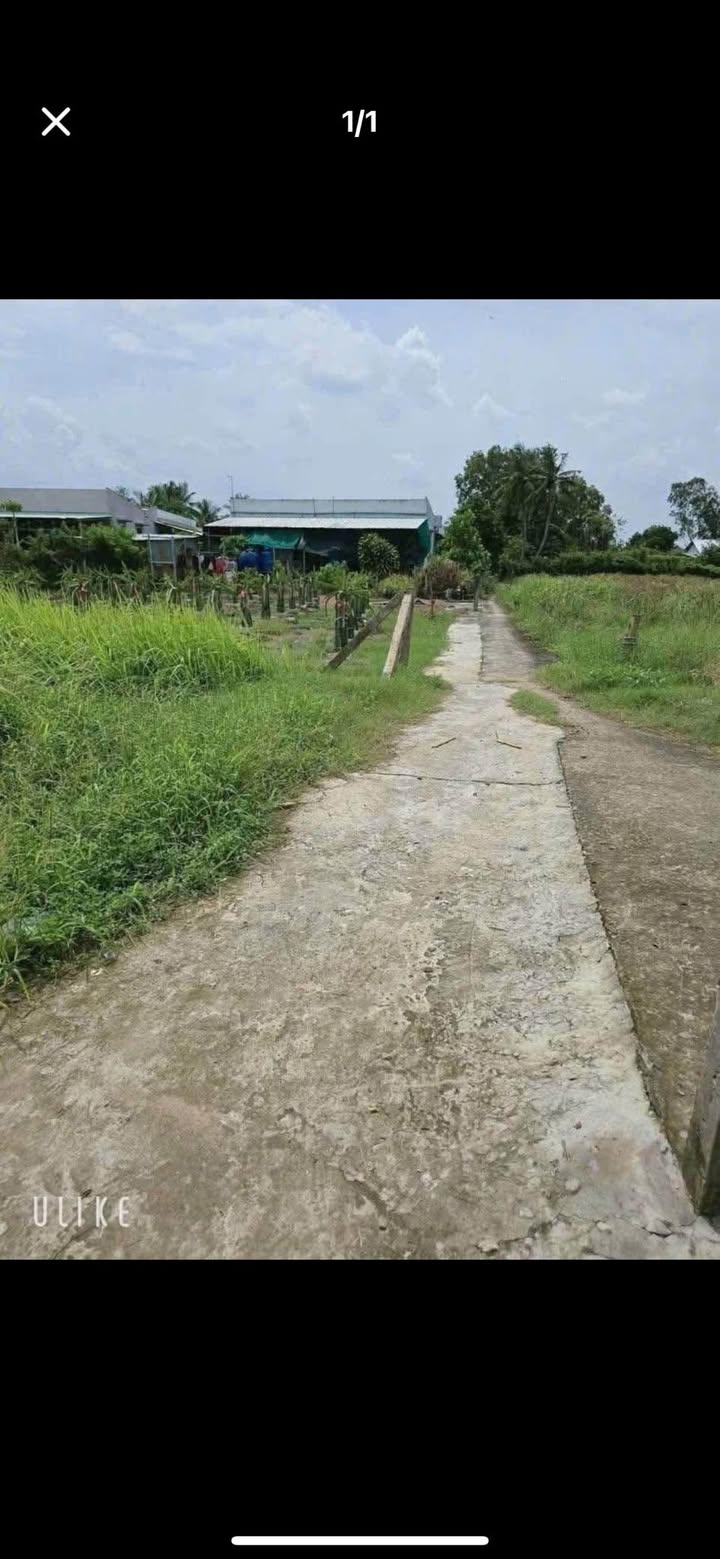 Đất Lúa Hòa Phú, Châu Thành, Long An 1000m² giá 480 triệu - Cơ hội đầu tư tuyệt vời!