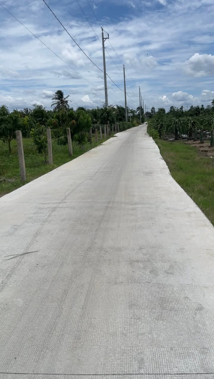 Đất thổ cư 1400m² xã Thanh Phú Long - Giá chỉ 1.1 tỷ, đầu tư sinh lời!