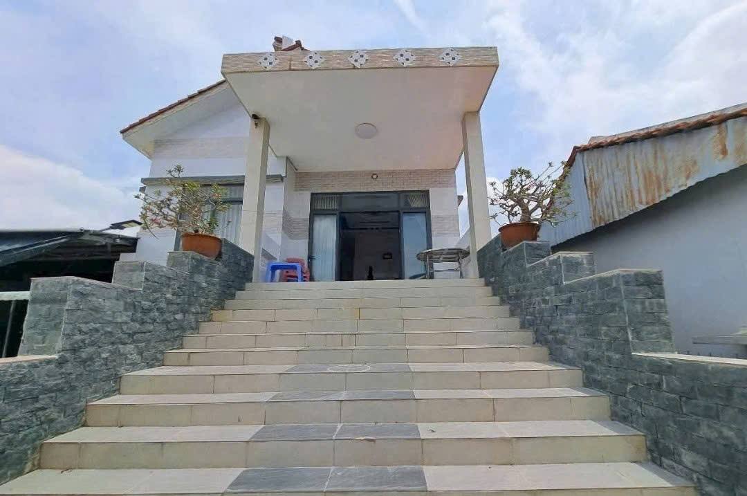 Đất nền farm 4954m² mặt tiền TL833, Tân An - Sẵn sàng kinh doanh ngay!