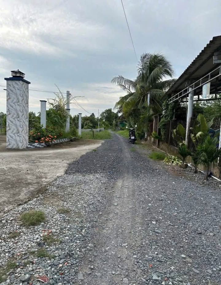 Đất nền thổ cư 500m² tại xã Tầm Vu, Tây Ninh - Giá chỉ 1.35 tỷ, thương lượng!