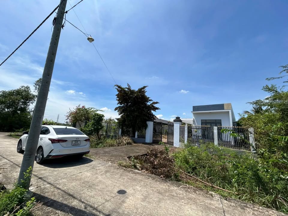 Bán nhà vườn 500m² tại phường Tân An, Long An - Đầu tư sinh lời tuyệt vời!