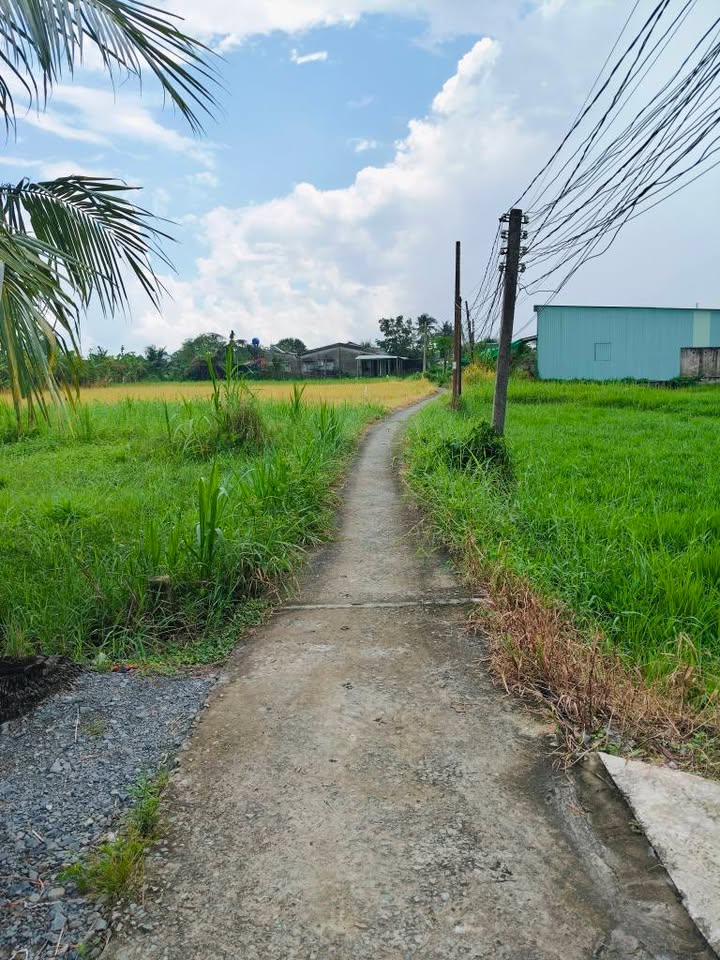 Nhà riêng hẻm 646, phường 7, TP Tân An 554m² giá 2.1 tỷ - Đầu tư sinh lời ngay!