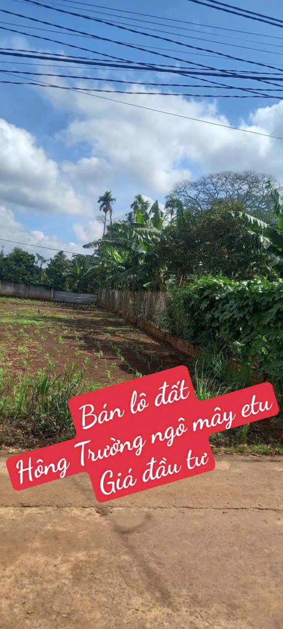 Đất nền xã Ea Tu, Buôn Ma Thuột 100m² giá 900 triệu - Sổ đỏ chính chủ!