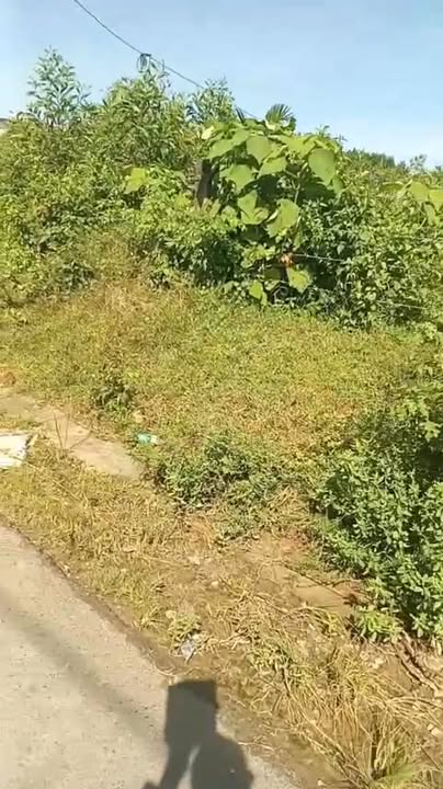 Lô đất Hòa Ninh, Đà Nẵng 1882m² giá 5.2 tỷ - Đầu tư sinh lời hấp dẫn!