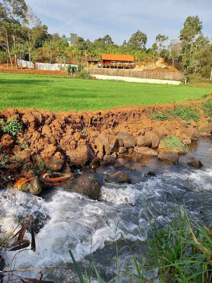 Đất thổ cư mặt tiền đường A2, xã Cư Êbur, 1550m² giá 4.8 tỷ - Đầu tư lý tưởng!