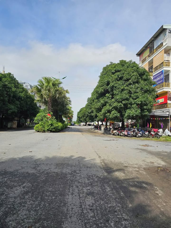 Đất nền Hương Mạc, Từ Sơn 80m² giá thỏa thuận - Cơ hội đầu tư sinh lời!