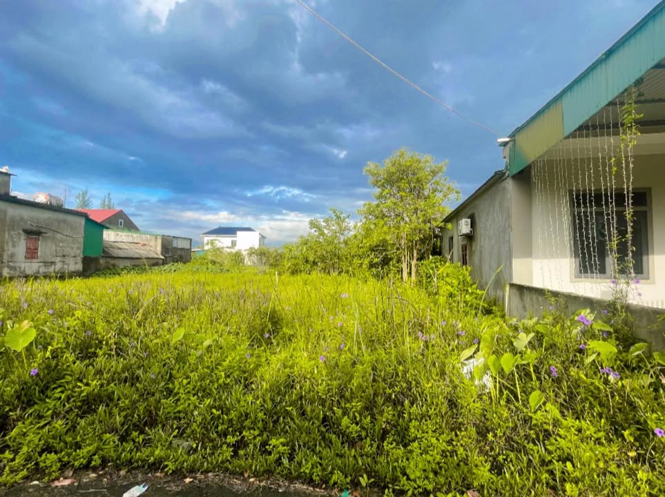 Đất kinh doanh Thạch Đài, Thạch Hà 154m² giá 1.7 tỷ - Đầu tư sinh lời ngay!