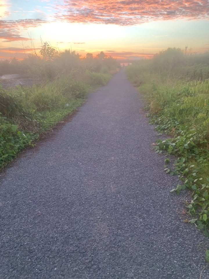 Đất mặt tiền đường Nhị Mỹ, Cai Lậy 2000m² - Sổ hồng chính chủ, giá tốt!