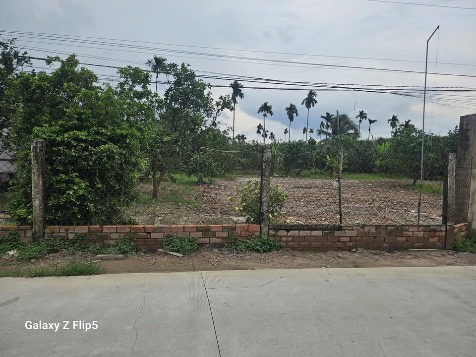 Đất nền xã Phú Túc, Vĩnh Long 1875m² giá 2.6 tỷ - Cơ hội đầu tư lớn!