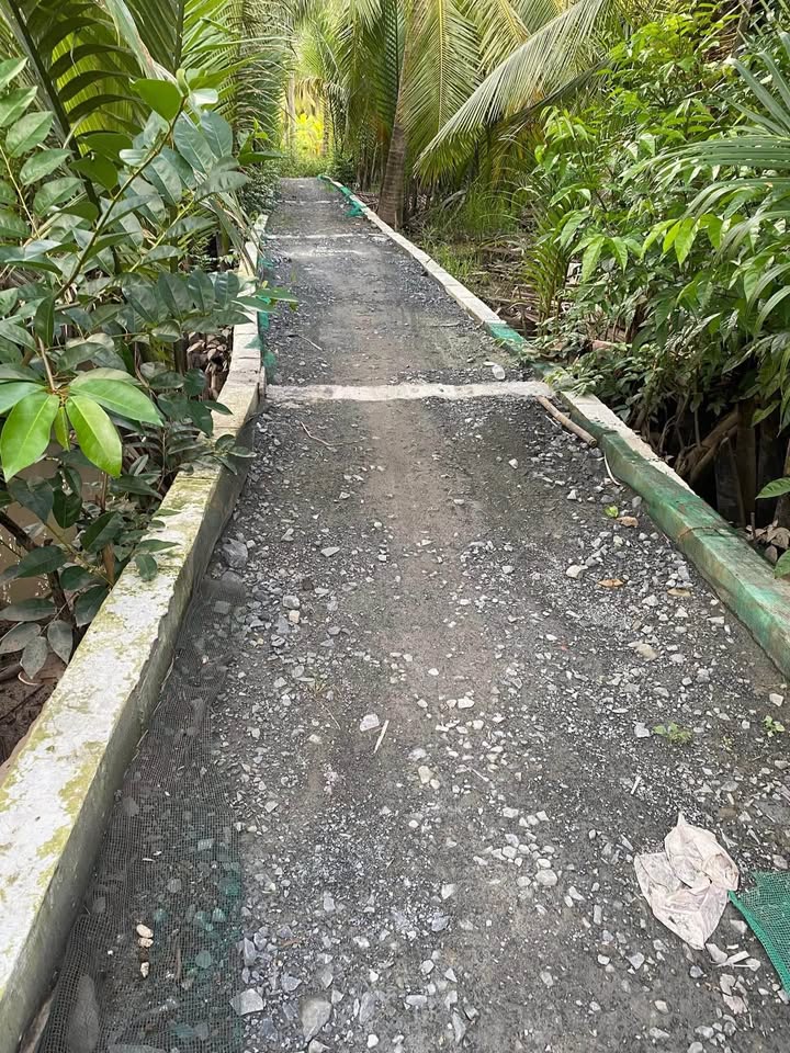 Đất nền 3000m² tại An Hoà, Mỏ Cày Nam - Bán gấp 900 triệu VND!