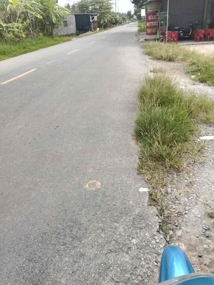 Farm Dừa Phước Long, Giồng Trôm 85.000m² giá 4.6 tỷ - Đầu tư sinh lời ổn định!