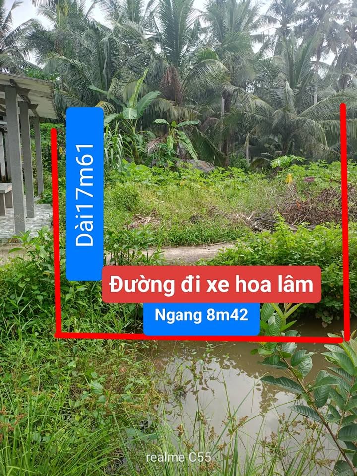 Đất nền Vang Thới Tây 100,2m² giá 300 triệu - Cơ hội đầu tư tuyệt vời!