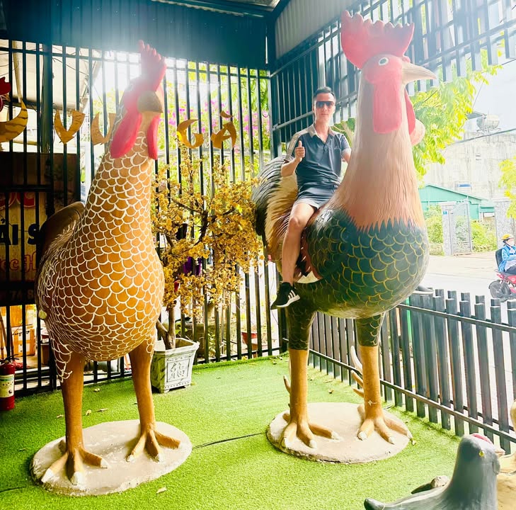 Đất nền chính chủ tại Đường Đá, Thủy Nguyên 64m² giá chỉ 1.935 tỷ - Tiềm năng tăng giá cao!