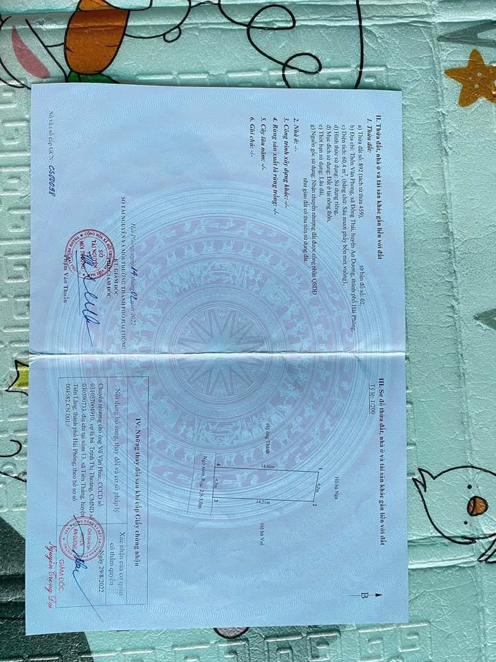 Đất nền Đồng Thái, An Dương 60.4m² giá 1.7 tỷ - Cơ hội đầu tư tuyệt vời!