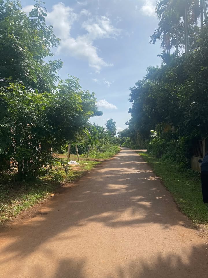 Đất mặt tiền 171 Nguyễn Thái Bình, Tân Lập, 370m² giá 2.45 tỷ - Cơ hội đầu tư hấp dẫn!