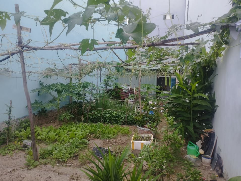 Đất nền 100m² khu đô thị khoa học Quy Hòa giá 3 tỷ - Sổ hồng chính chủ