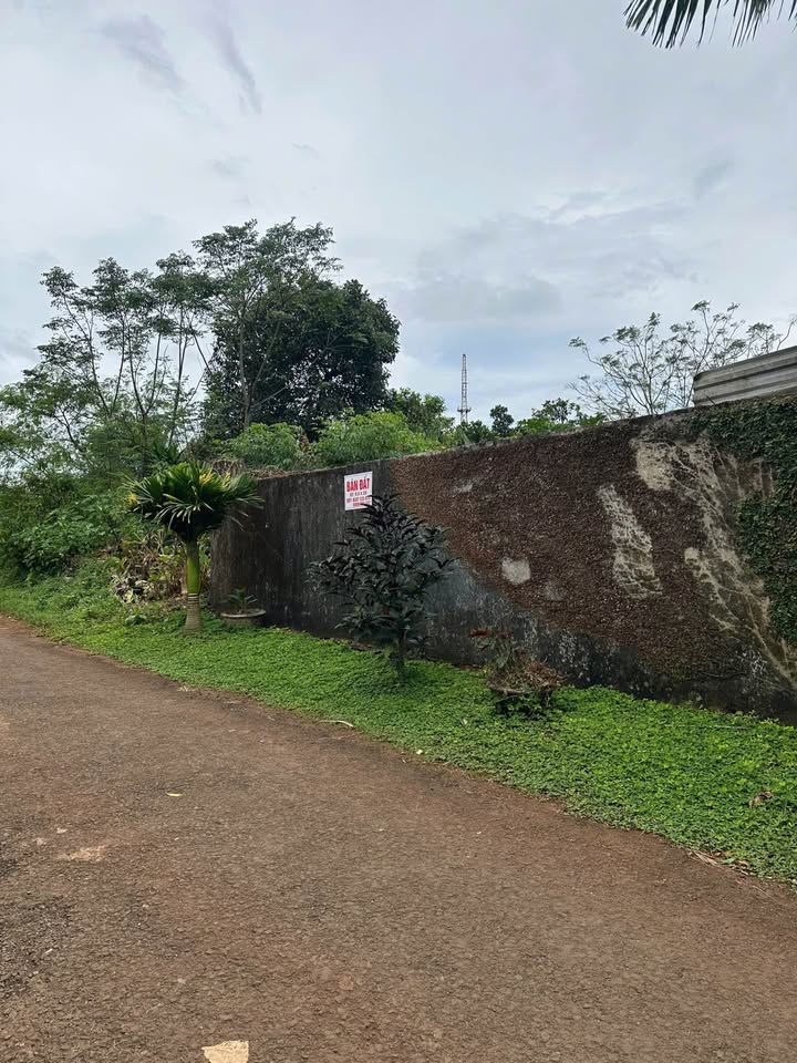 Đất hẻm 125 Hoàng Sa, Pleiku 198m² giá 2 tỷ - Pháp lý rõ ràng, thương lượng!