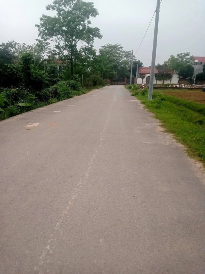 Đất đấu giá Yên Bình, Vĩnh Tường 120m² giá 1 tỷ - Hạ tầng hoàn thiện, gần cụm công nghiệp!