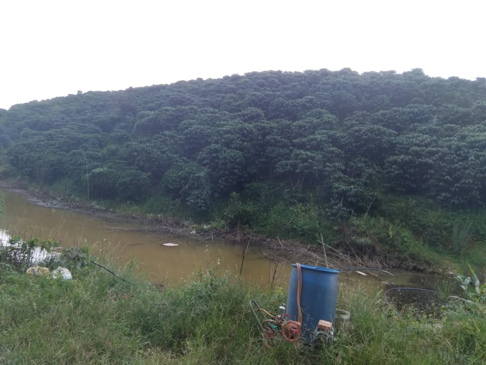 Farm Đắk Nang 33,000m² giá 4.7 tỷ - Đầu tư sinh lời ngay!