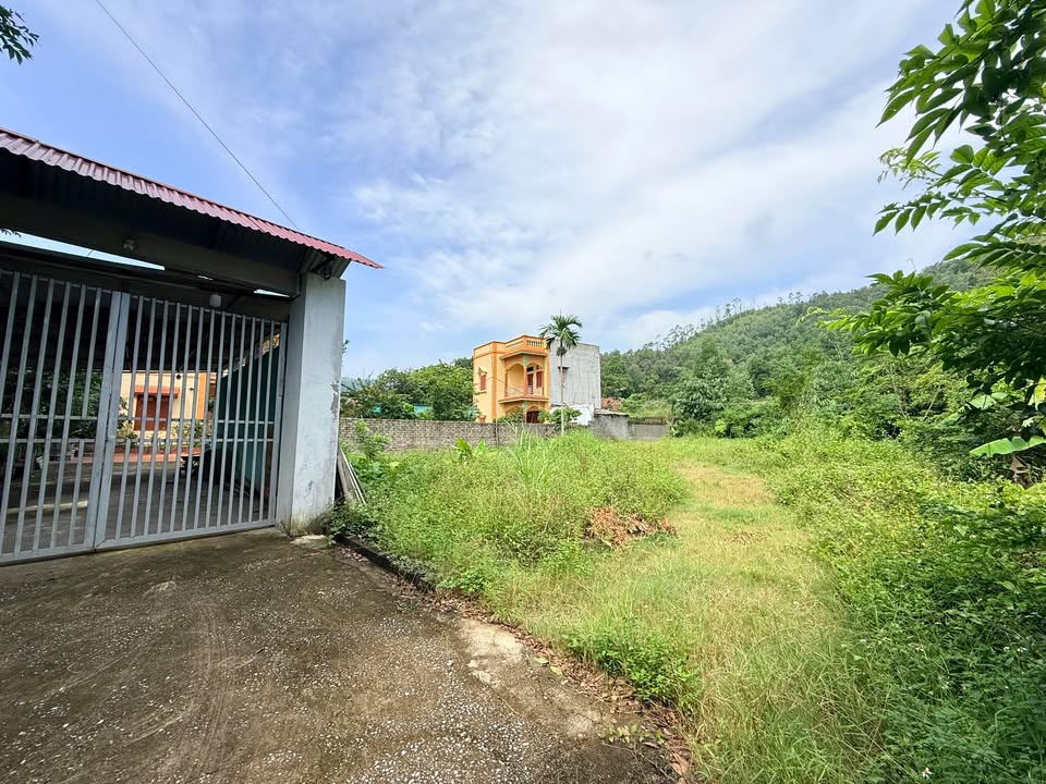 Đất nền Yên Dũng 800m² giá thỏa thuận - Phù hợp xây biệt thự vườn