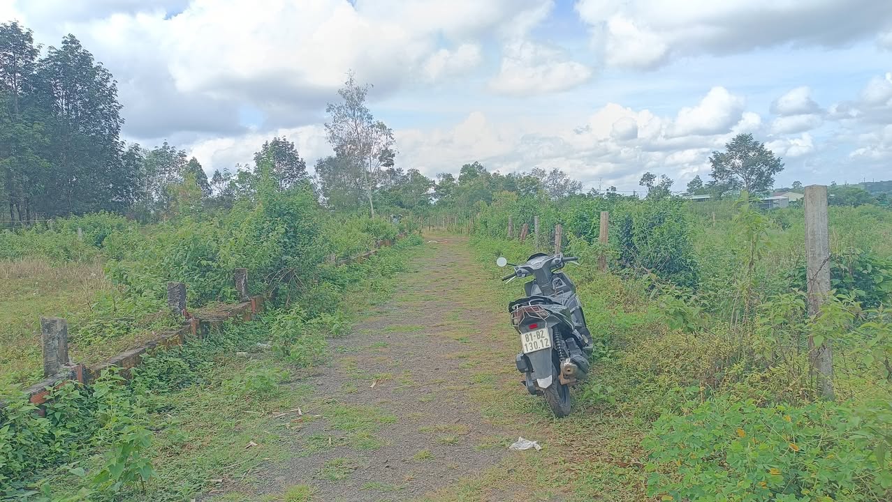 Đất thổ cư hẻm Phan Đình Phùng, Pleiku 115m² giá chỉ 700 triệu - Cơ hội đầu tư hấp dẫn!