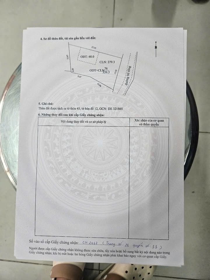 Đất nền Tân An Yên Dũng 300m² - Đường ô tô tận nơi, giá tốt!